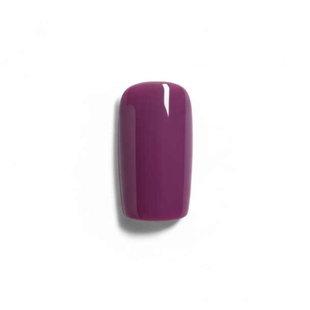 Majestic Plum