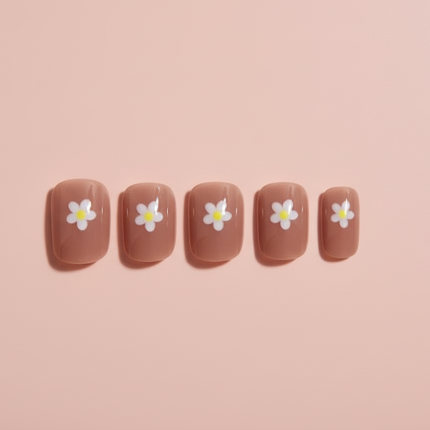 Soft Daisy