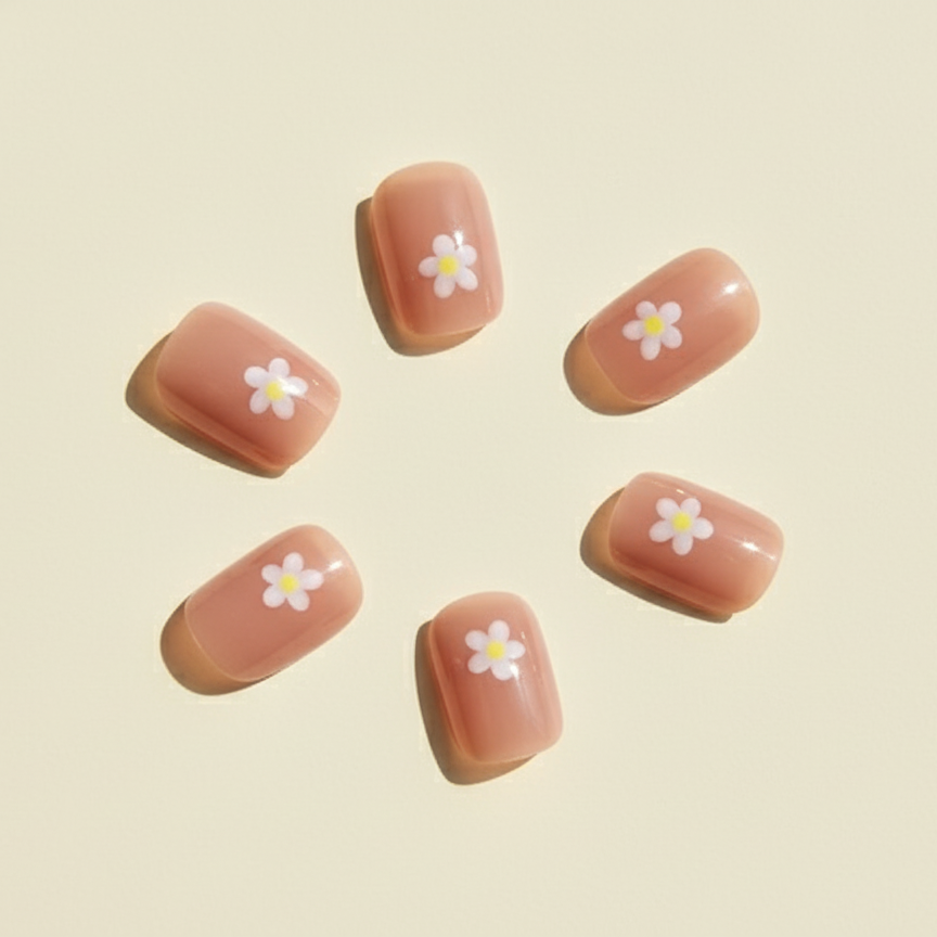 Soft Daisy