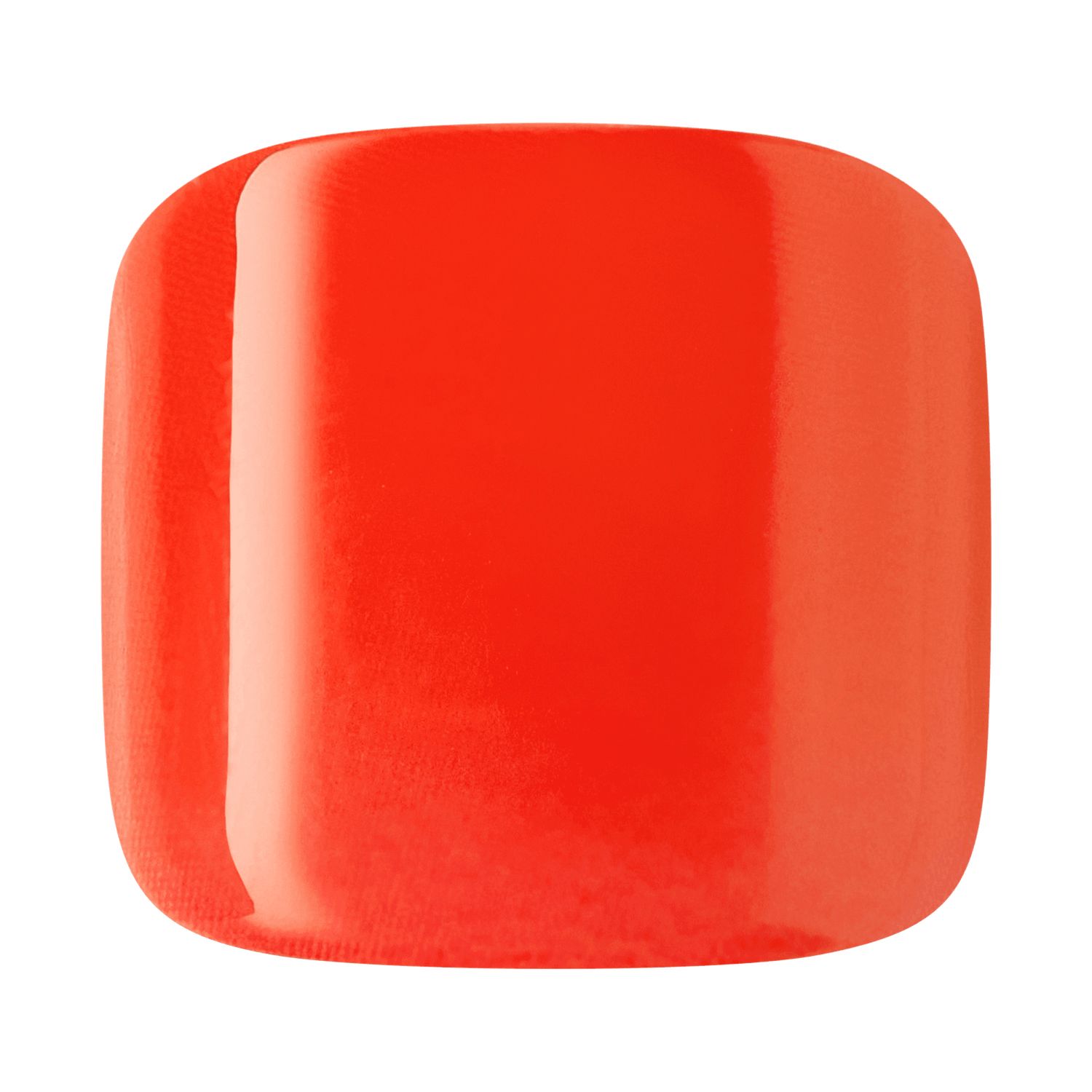 Tropical Coral