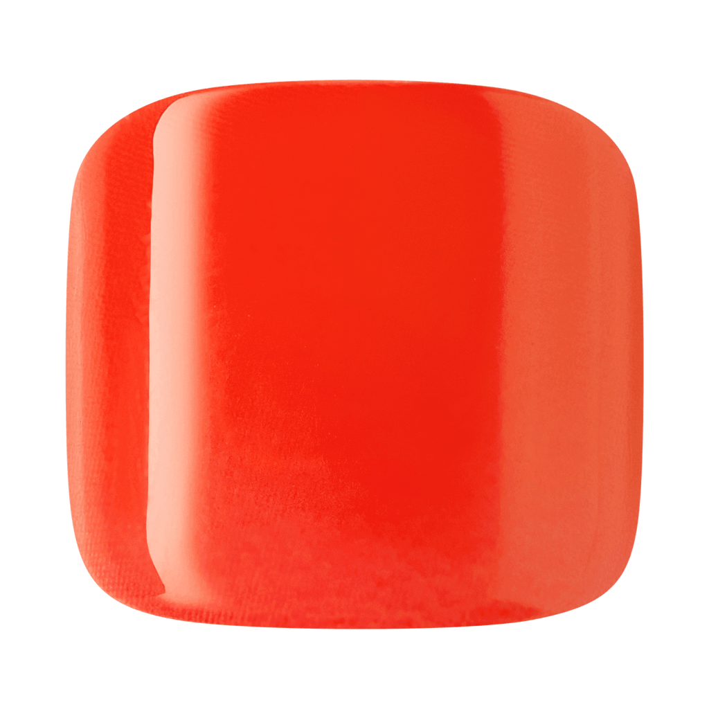 Tropical Coral